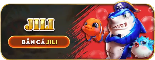 Minh họa câu hỏi thường gặp